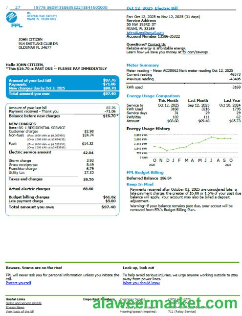 USA FPL utility bill template in Word and PDF formats, version 3